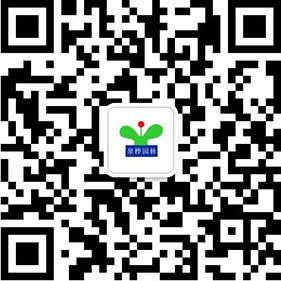 微信公眾號